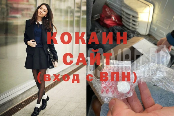 соль ск Алексин