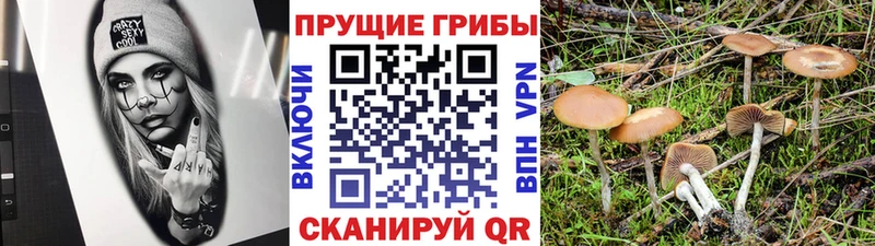 Галлюциногенные грибы мухоморы  Октябрьский 